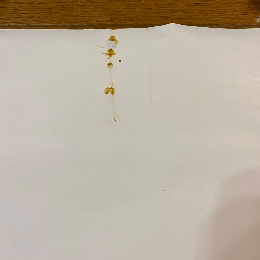 中森明菜　ポスター　Resonancia