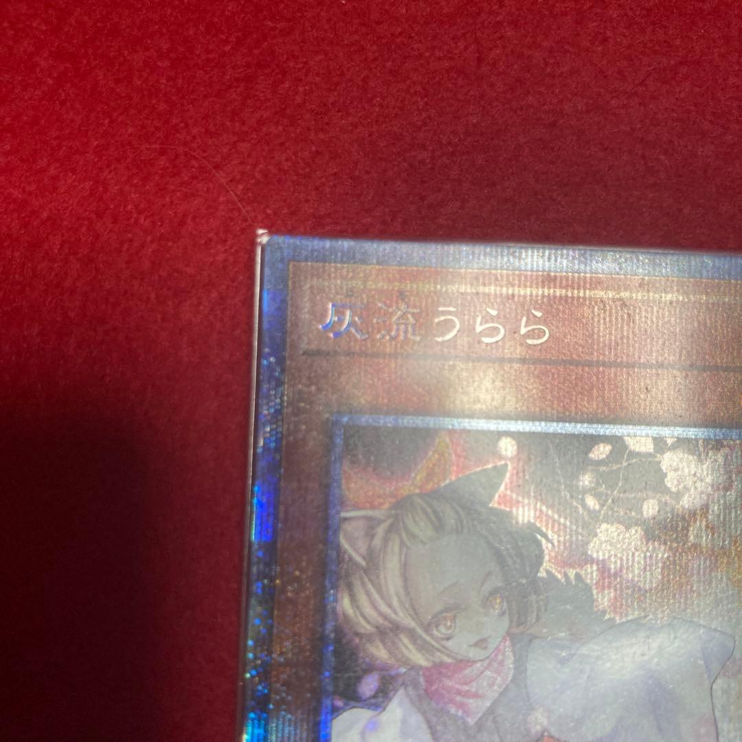 遊戯王OCG 灰流うらら 3枚セット　プリズマ