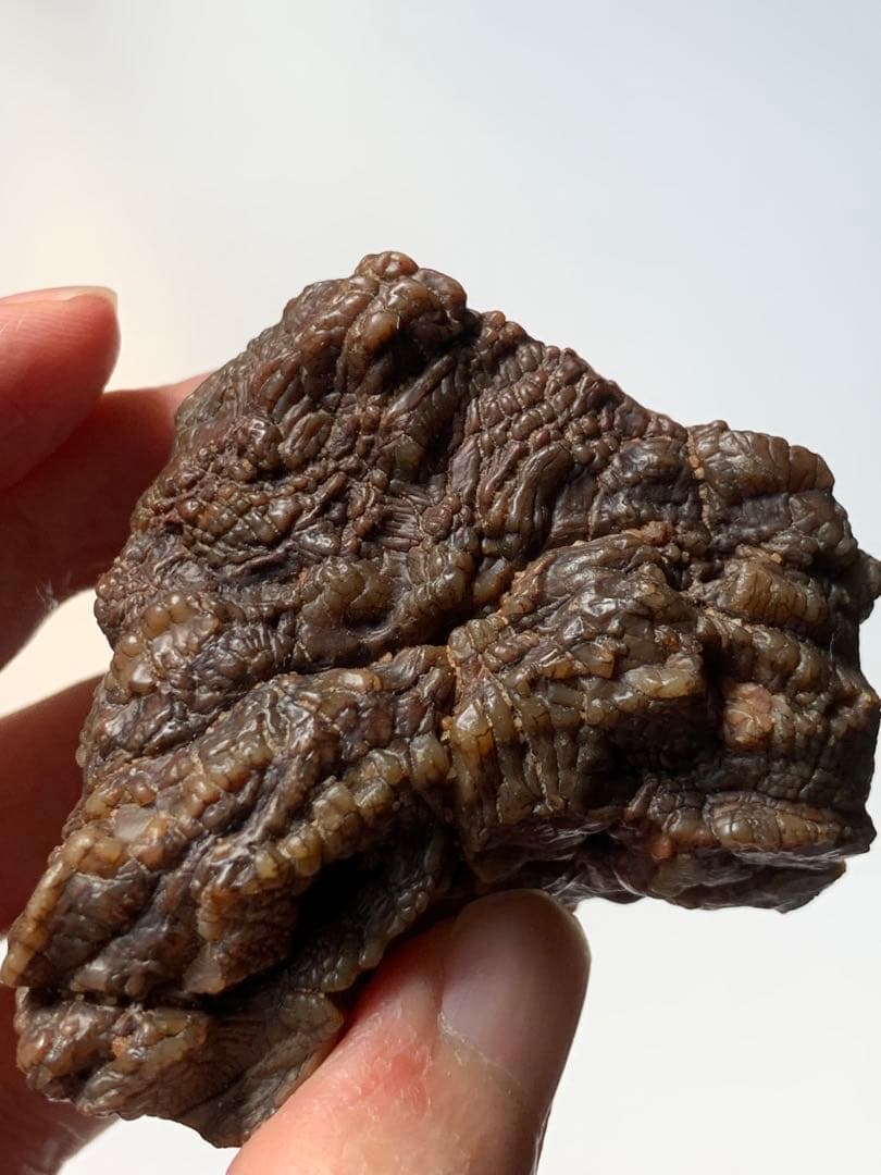 アラシャンゴビアゲート 蒙古瑪瑙 水石 翡翠 オパール 根付 天珠 化石 隕石