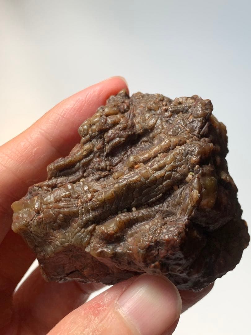 アラシャンゴビアゲート 蒙古瑪瑙 水石 翡翠 オパール 根付 天珠 化石 隕石