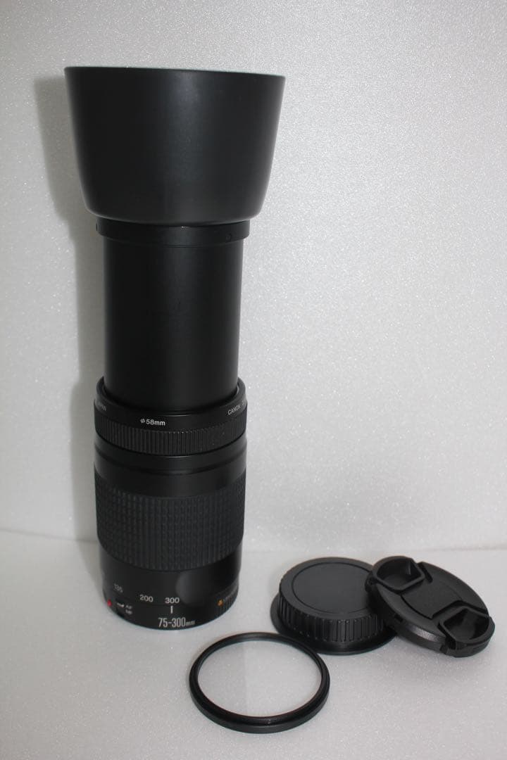極上品☆フード付☆迫力の300㎜☆キャノン Canon EF75-300㎜
