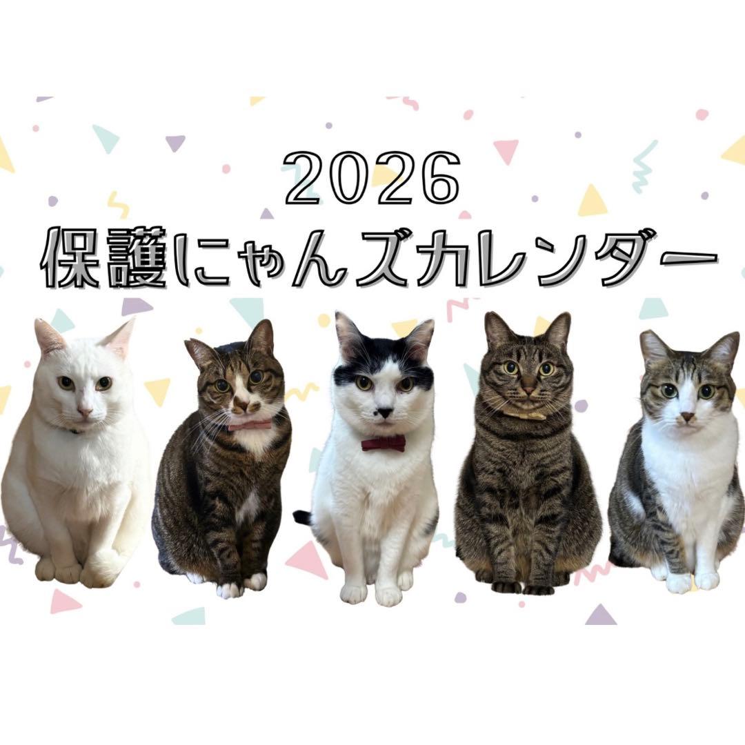 最終値下げ】2026年 保護にゃんズカレンダー 壁掛けカレンダー ねこ