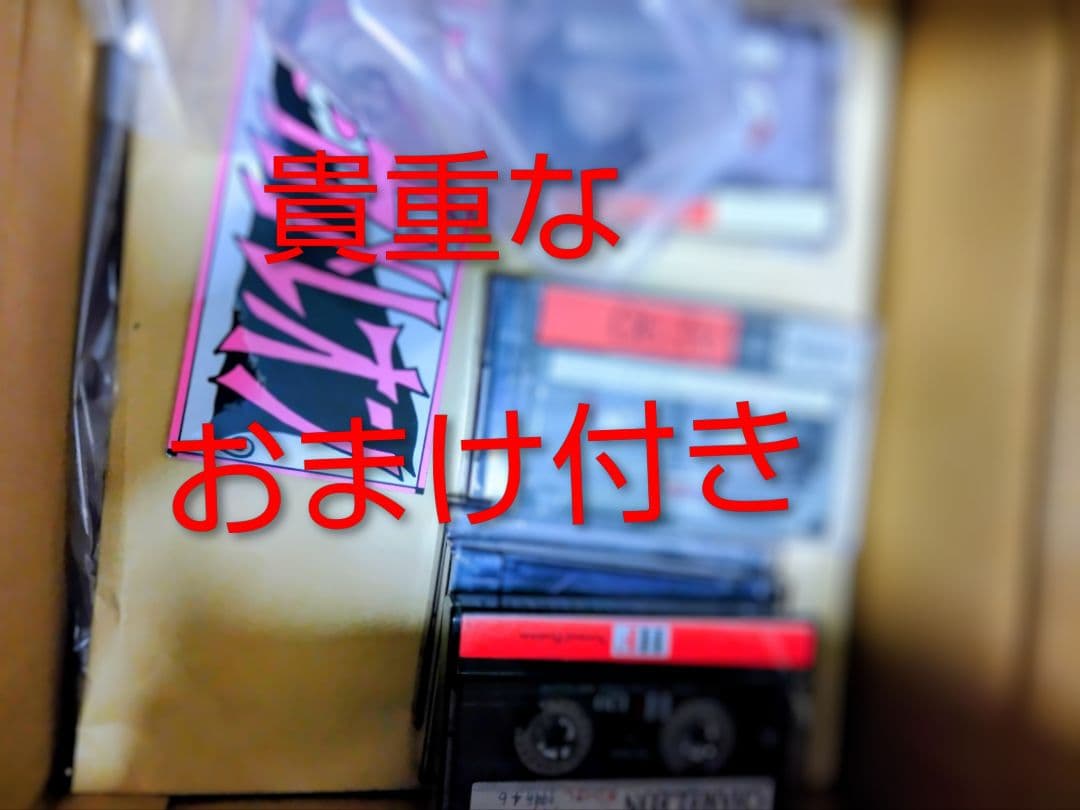 貴重】新堂敦士率いるカメレオンファンクラブ会報 全20冊 【音源など