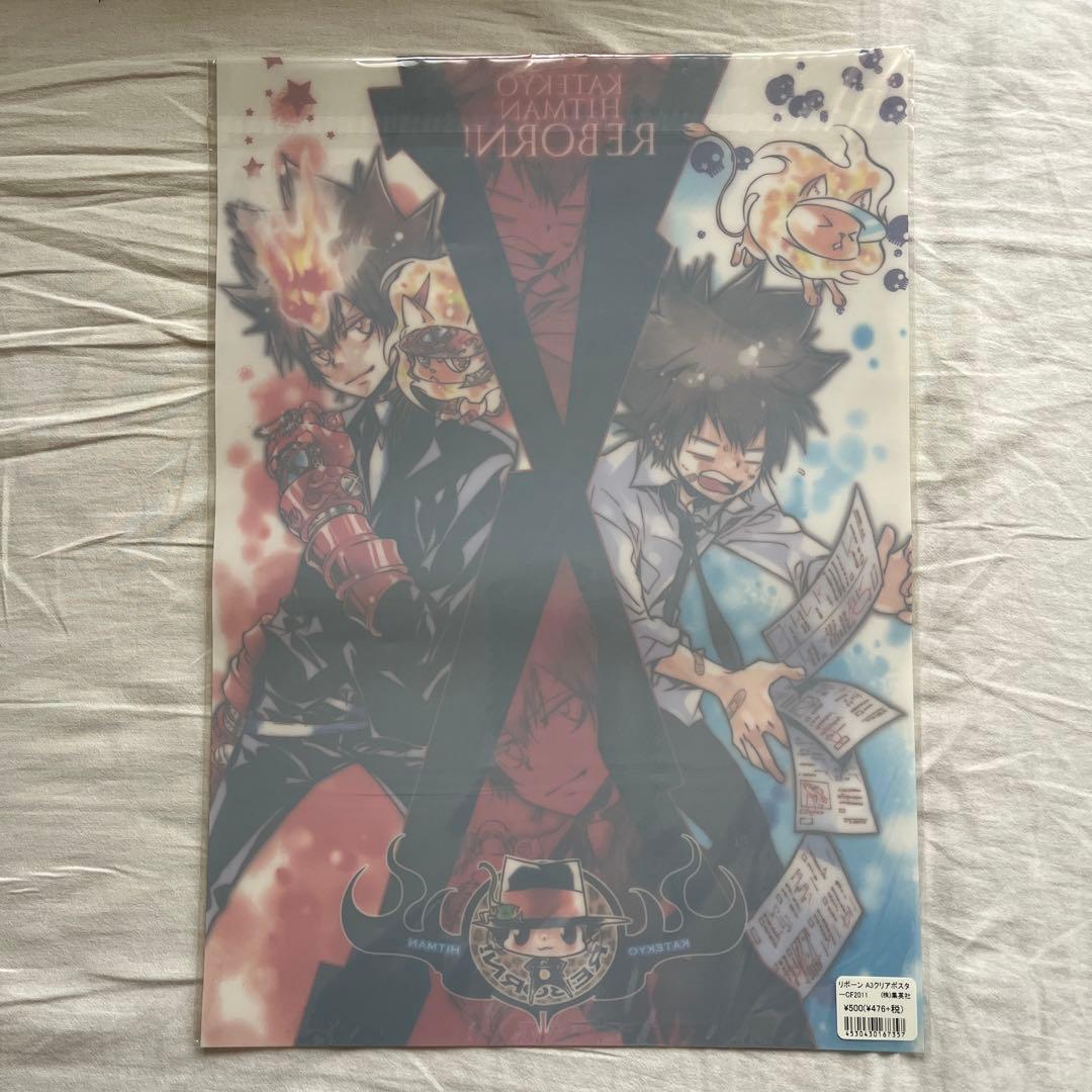 家庭教師ヒットマンREBORN! 沢田綱吉 ツナ クリアポスター 原作絵