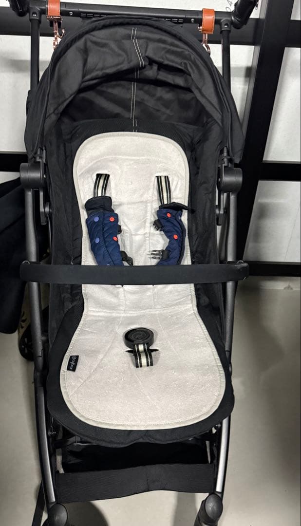 掛軸 柳に蛙 澤田正二郎 新国劇