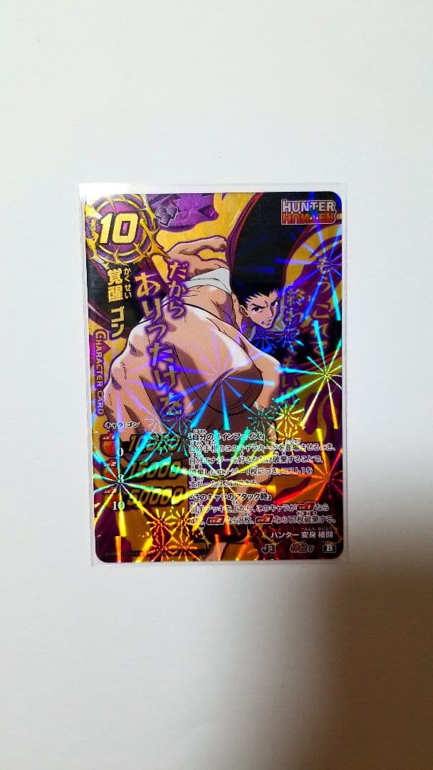 覚醒ゴン 神Ω アルカ・ゾルディック ミラバト - メルカリ