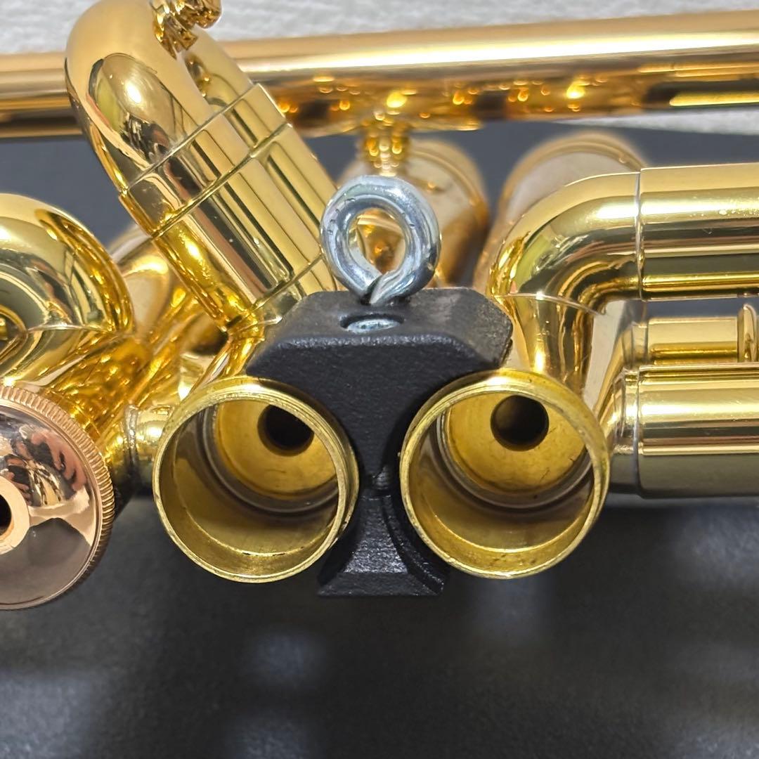 エルゴブラス(ergobrass)トランペット用