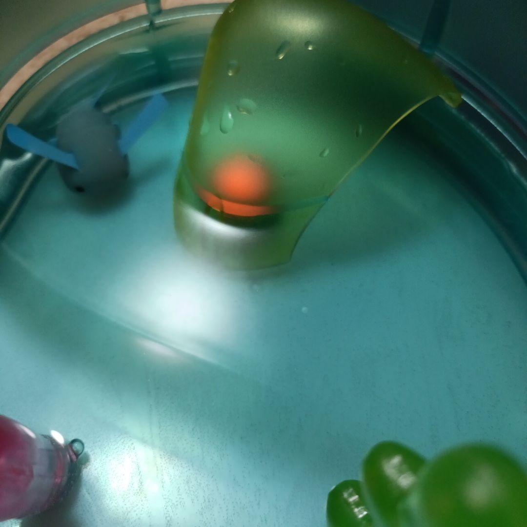 美品 ウォータールーパームツ TOMY トミー