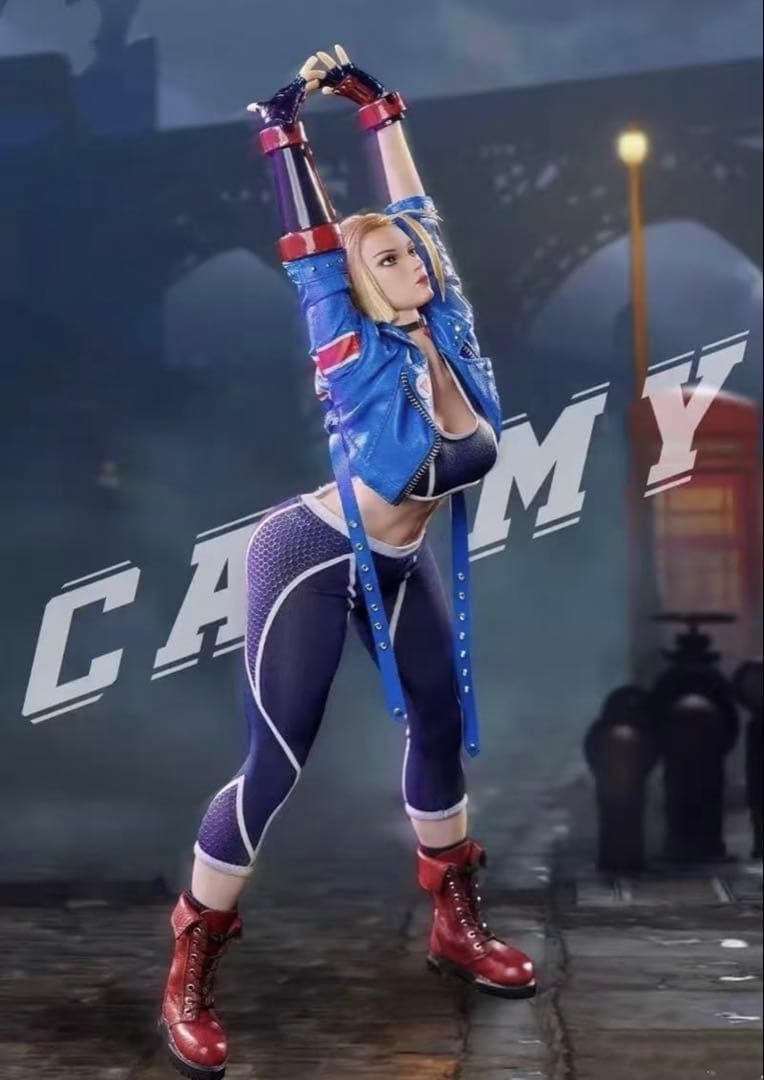 サ*氏様 STARMAN MS 012 1/6 ストリートファイター キャミィ