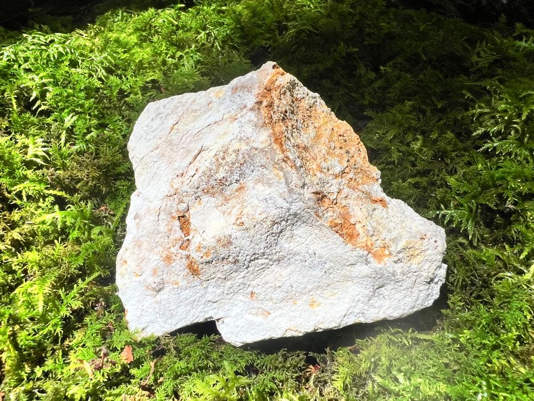 龍脈の精髄 水晶 魂を導く結晶の花 売上一部保護猫活動