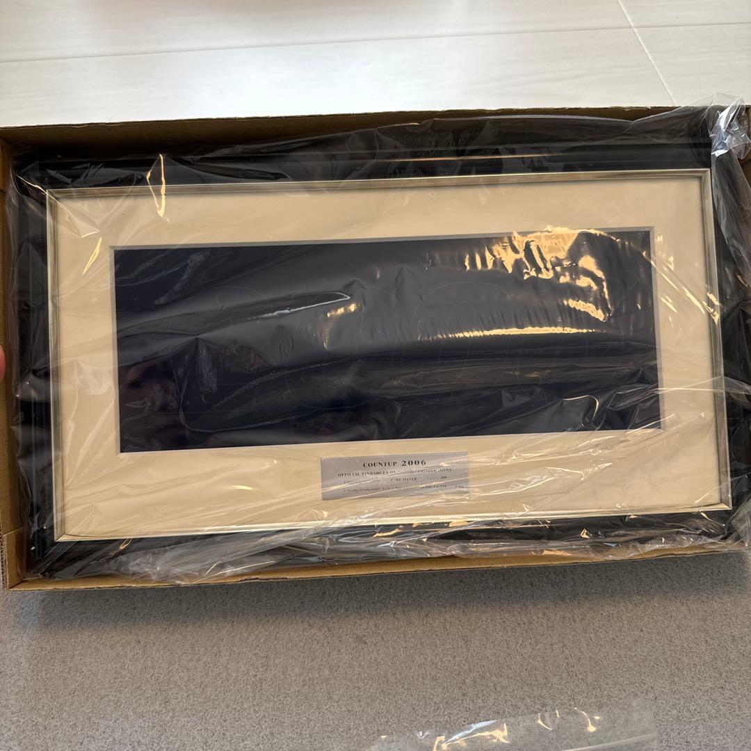 限定品 鉄腕アトム 2006年カウントアップ 彩色美術ピンバッジコレクション