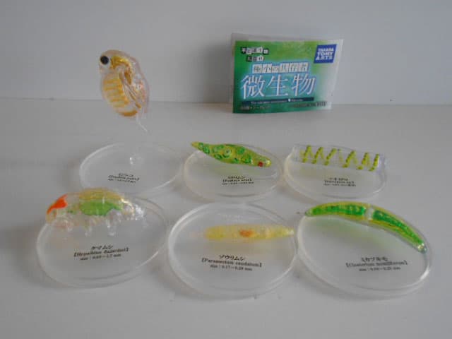 ♯Jjg01DZスマートパンツ4シークレット入全6種 ♯Jjg01CZスマート