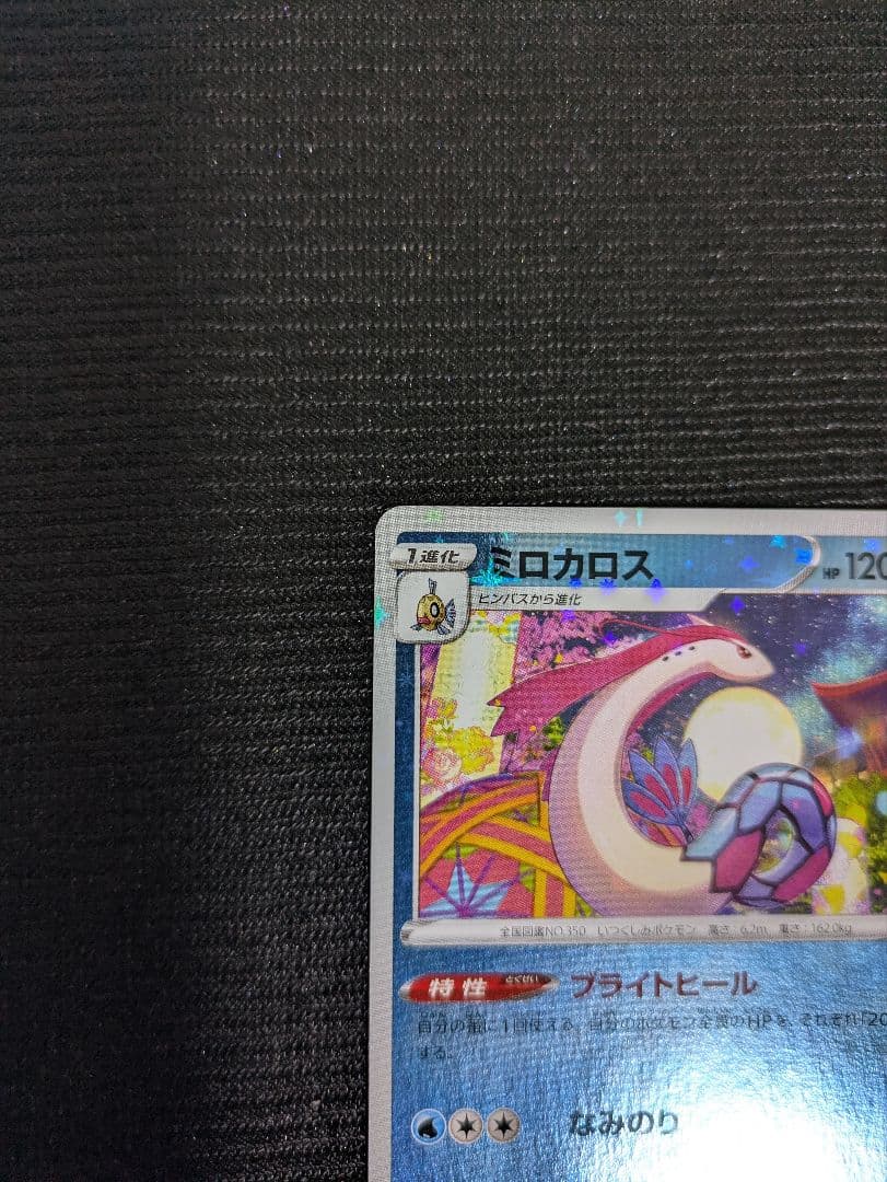 ミロカロス プロモ スペシャルBOX ポケモンセンターカナザワオープン記念