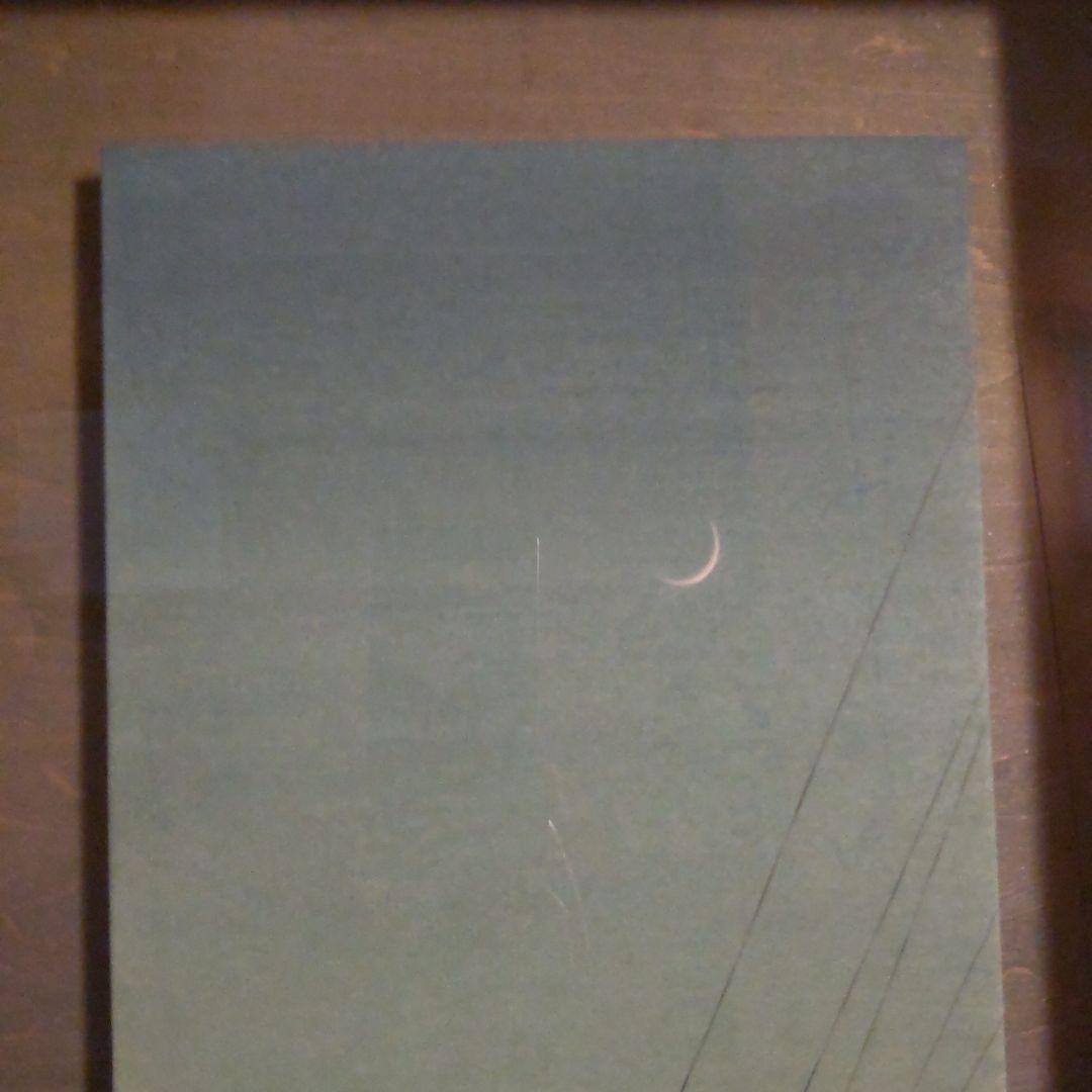 今川教子　灯り　日本画　8号変