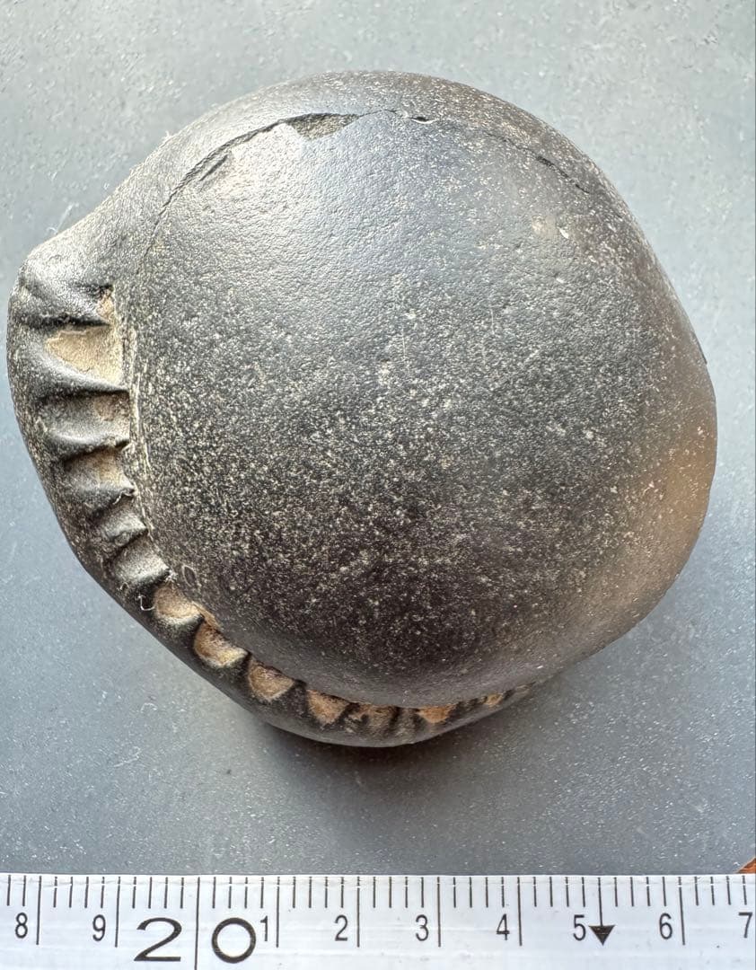 アンモナイト化石 黒色 大きい 自然物・オブジェ・ブラックアンモナイト・化石・w11.5cm