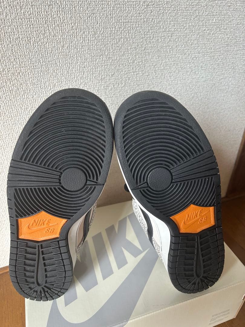 スケートボード Nike Dunk SB Low Electric/Safari