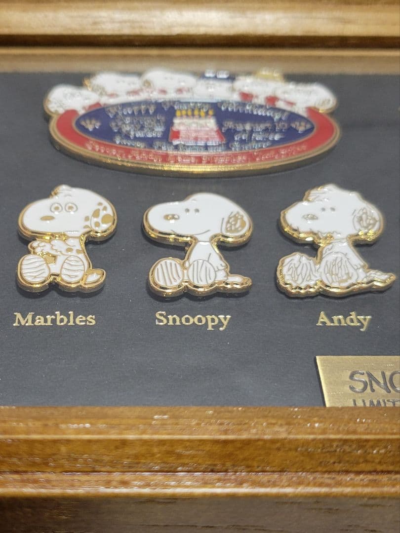 ＊*様 スヌーピータウン バースデイ記念フレーム ピンバッジセット限定500 シ
