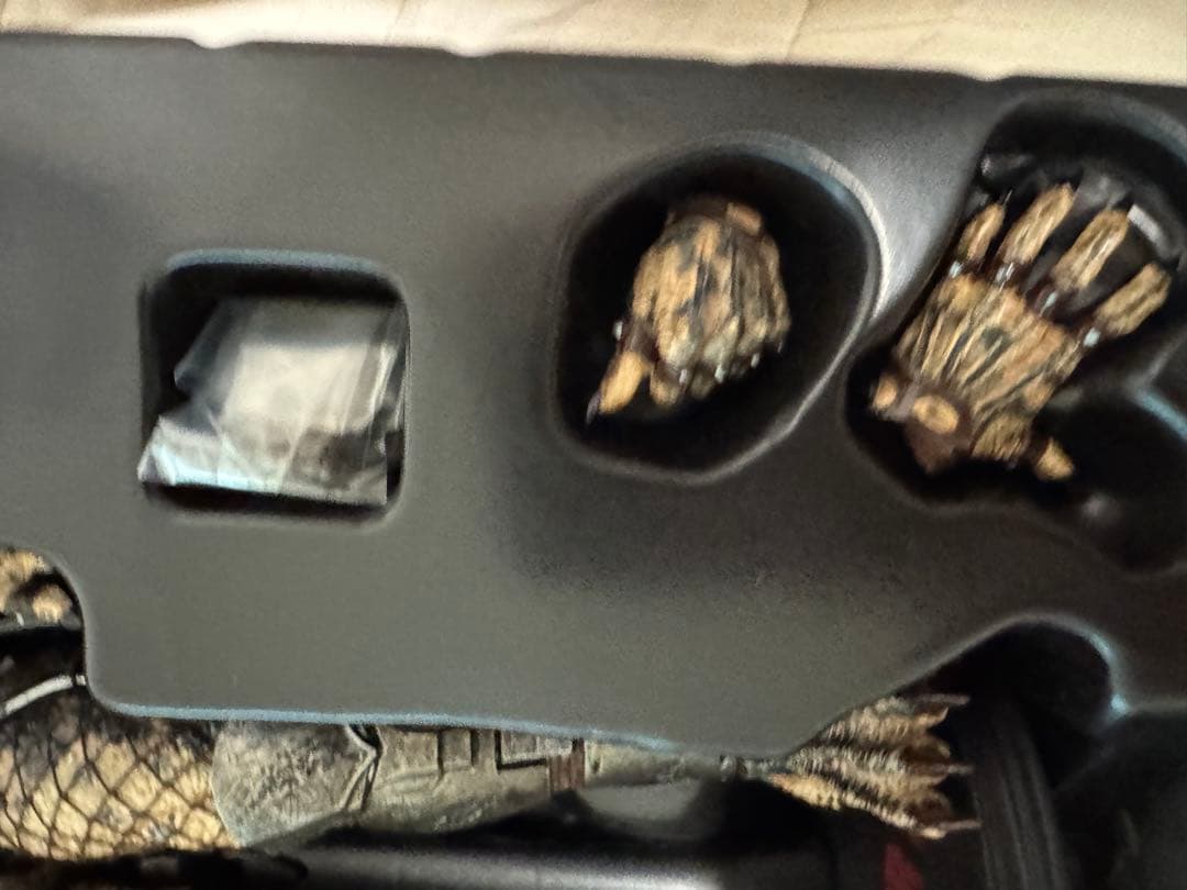 ❗️最安値　毎日値下げ❗️ ホットトイズ　エルダー　プレデター　2.0