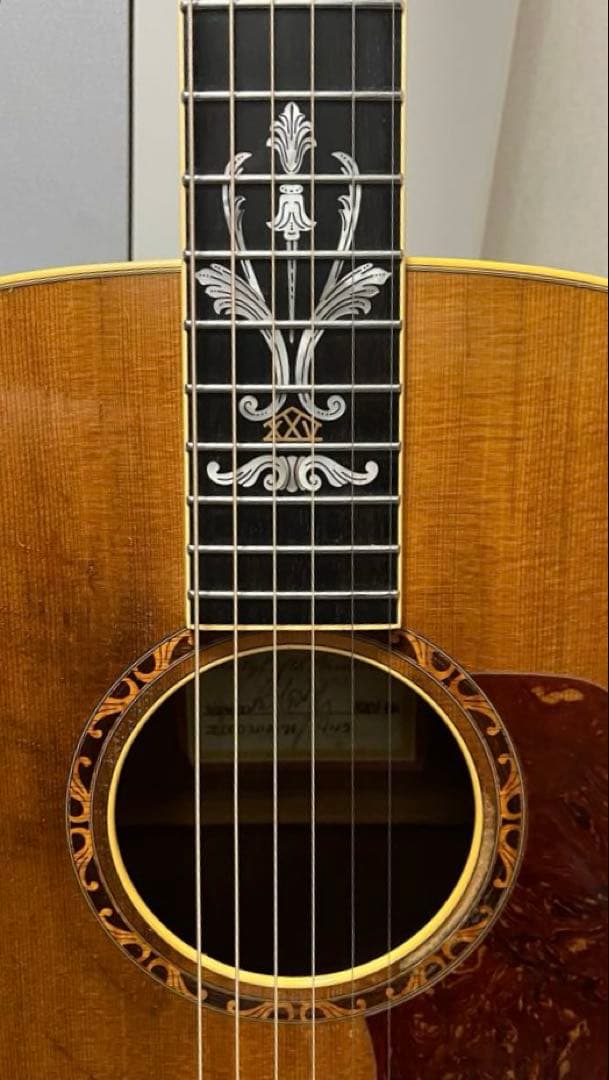 プレミアム限定モデル】Taylor XXV-PR 25周年記念モデル エレアコ