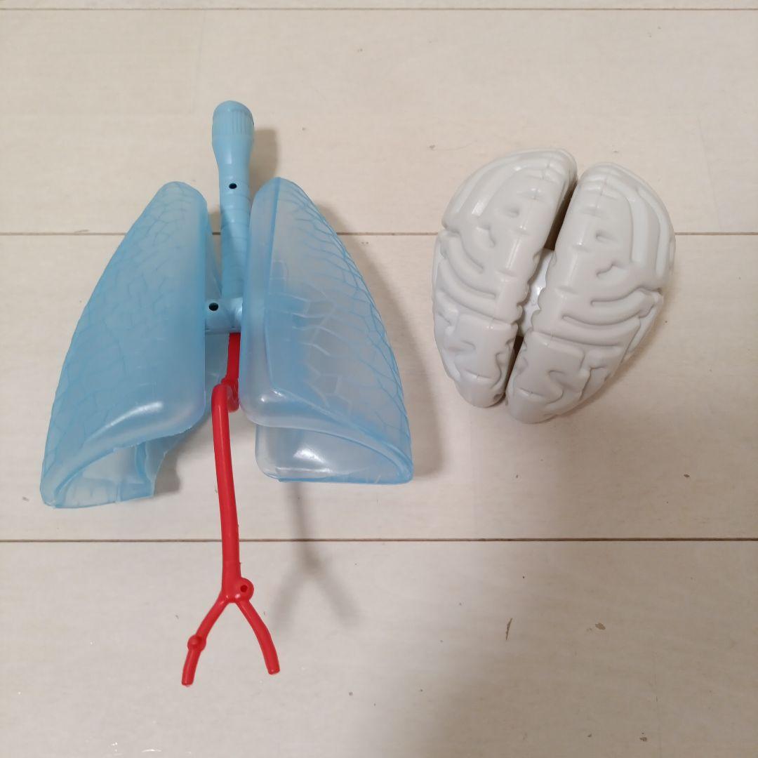 人体模型！部屋に飾ってオシャレになれ！