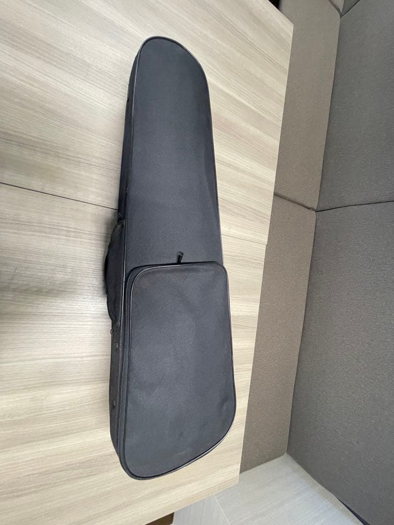 Carlo Giordano バイオリン本体4/4 ケース付き