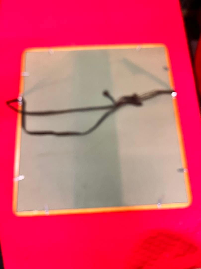 平野勝　日本画 夏　フヨウの絵　額付き