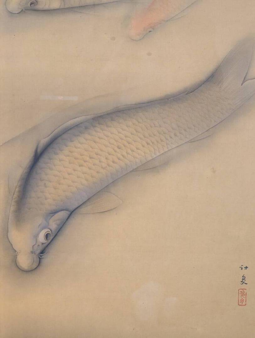 【真作】絵画　徳岡神泉　日本画　鯉　静謐なる水底の美　優雅に泳ぐ和の象徴　Y41