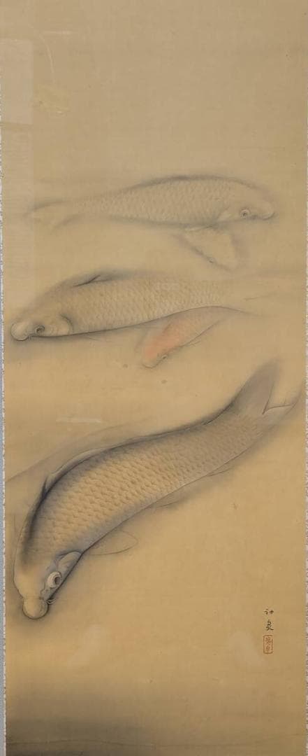 【真作】絵画　徳岡神泉　日本画　鯉　静謐なる水底の美　優雅に泳ぐ和の象徴　Y41