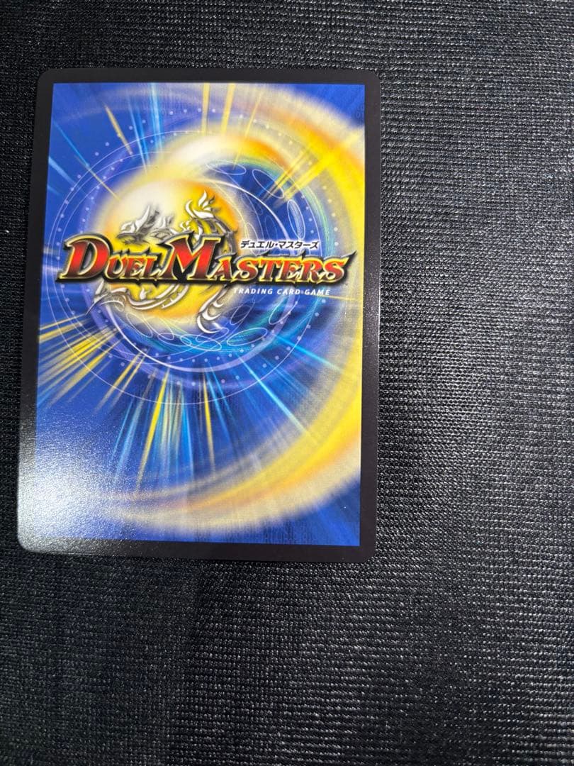 聖霊超王Hアルカディアス　シークレット