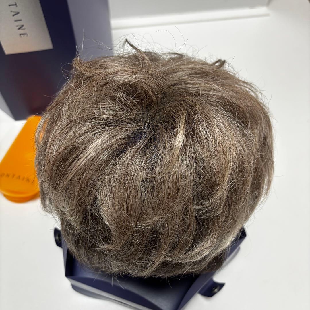 フォンテーヌvalan VM33 W60 グレーヘア　ウィッグ