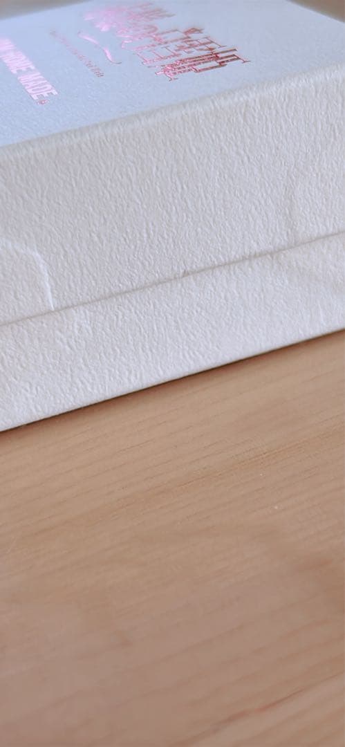 赤髪の白雪姫 白雪　シルバーネックレス