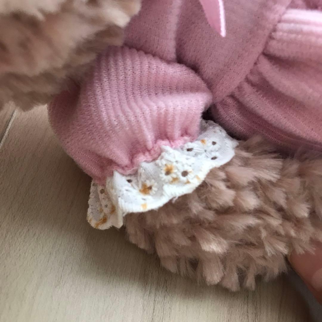 香港ディズニー ダッフィ&シェリーメイ ぬいぐるみ 2019年 バレンタイン