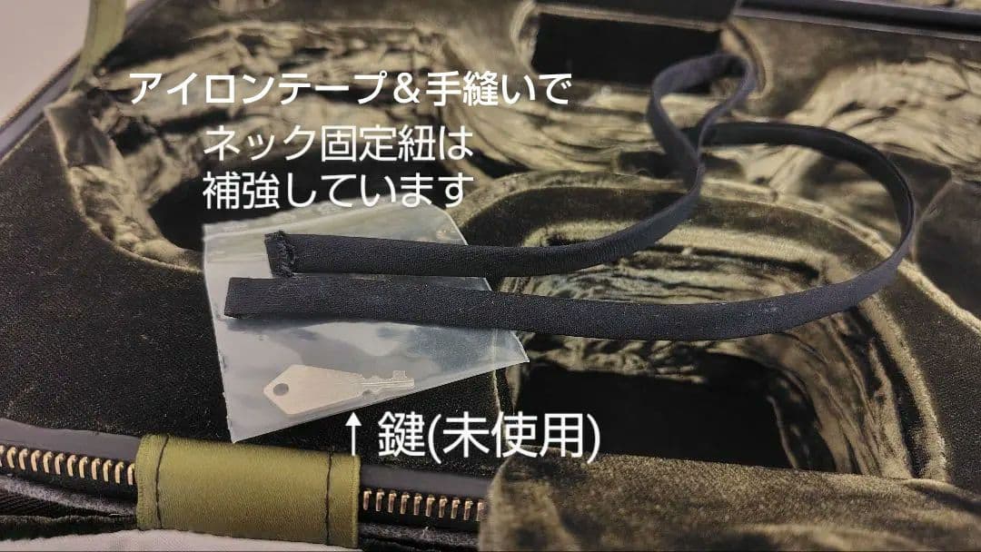 GEWA Jaeger　イエーガー オブロング / GEWA バイオリンケース