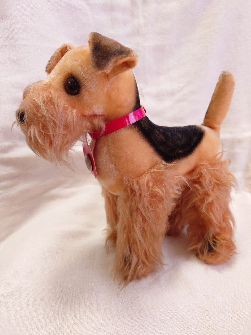 【希少品！】ふしぎ犬トントン★エアデールテリアぬいぐるみ