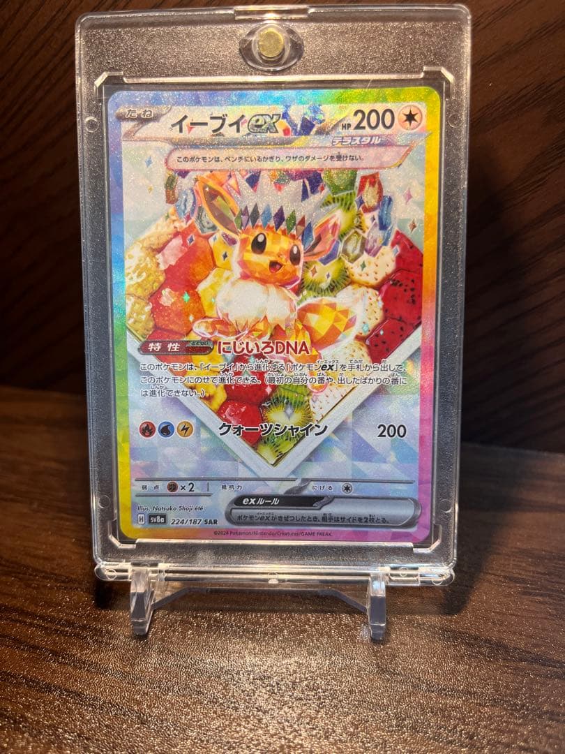 ポケモンカード テラスタルフェス ex ブイズSAR 7枚セット ローダー付き