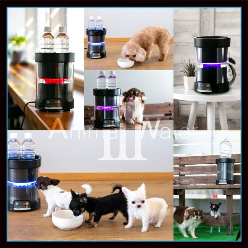 アニマルウォーター Ⅲ Animal Water 3 売れ筋 ペットのデンタルケア