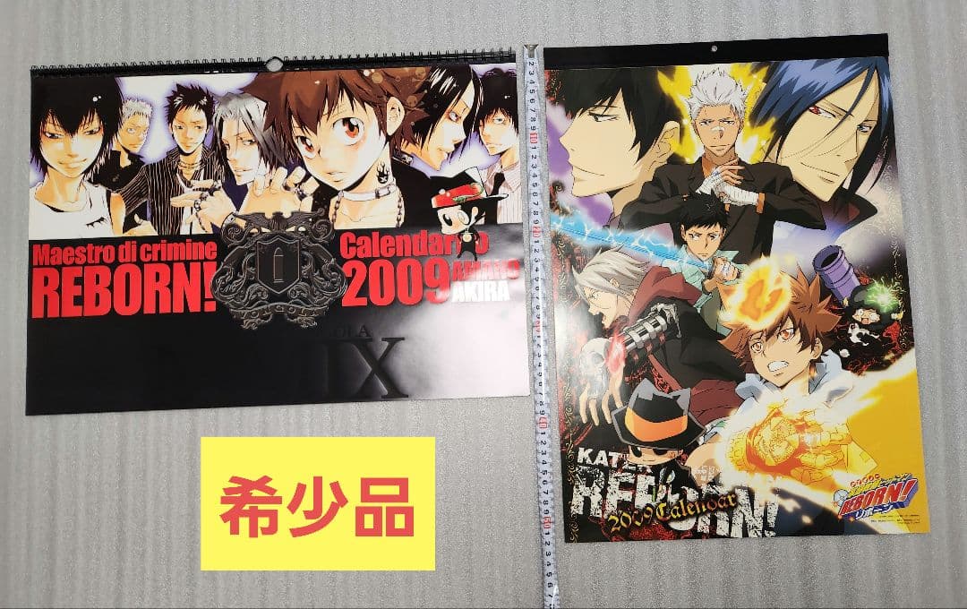 【希少品】家庭教師ヒットマンREBORN 2009年カレンダー 家庭教師ヒットマンREBORN！ 2009-2010 週めくりスクールカレンダー