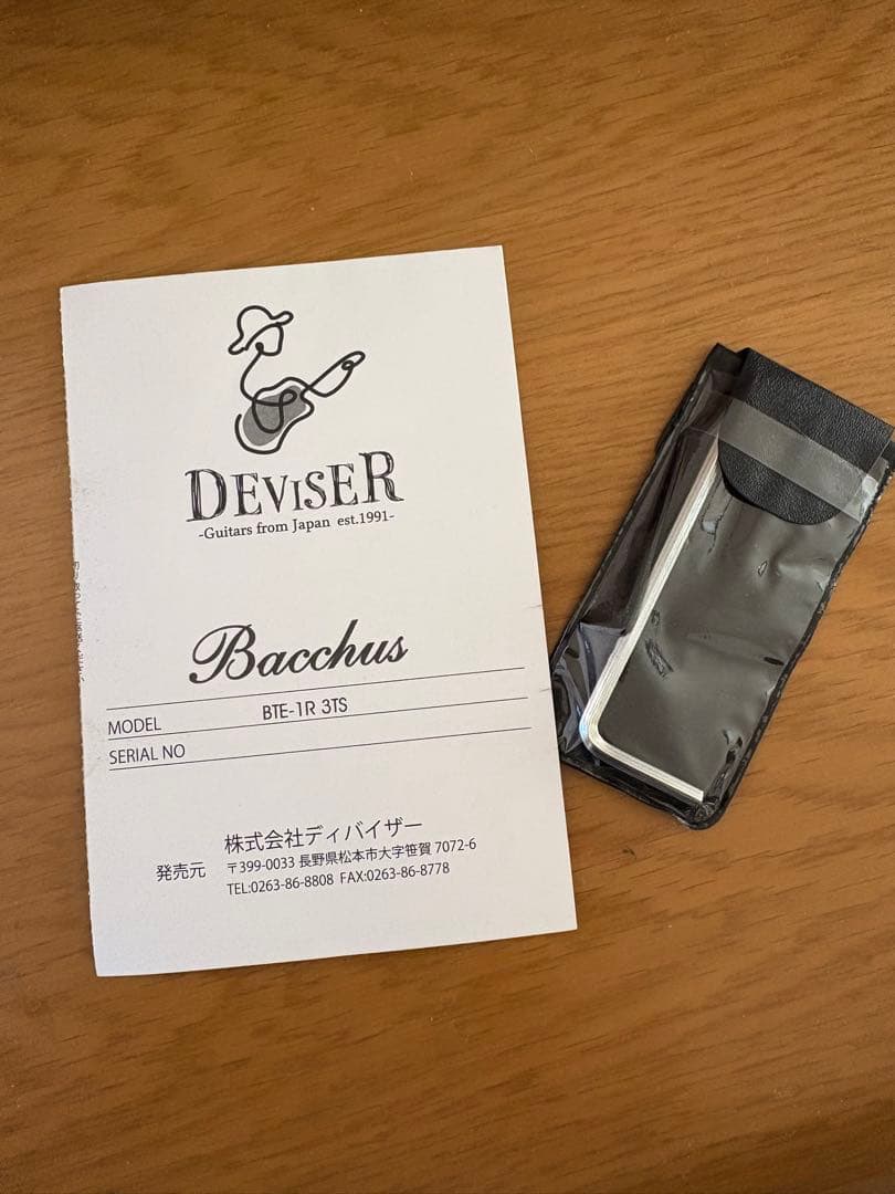 テレキャスタータイプ エレキギター