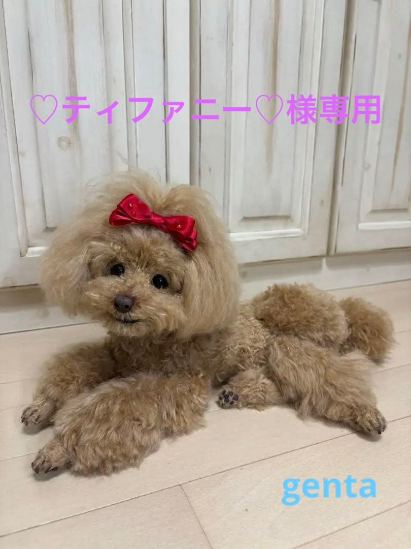 羊毛フェルトトイプードル ティファニー様専用 羊毛フェルトトイ