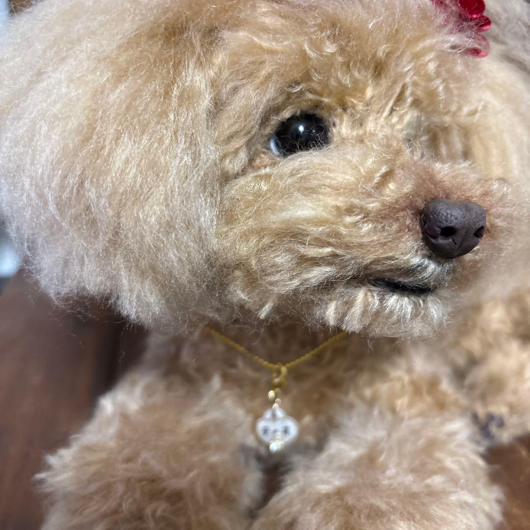 羊毛フェルトトイプードル ♡ティファニー♡様専用
