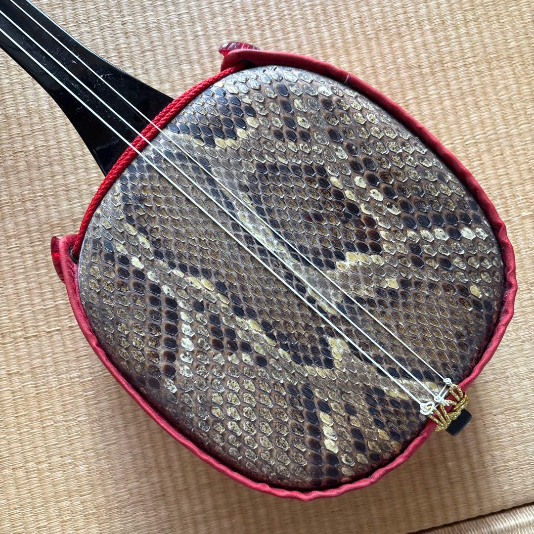 沖縄 琉球 三線 本蛇革 強化張り