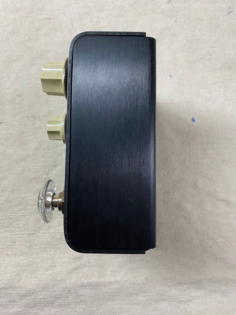 ギター strymon Flint