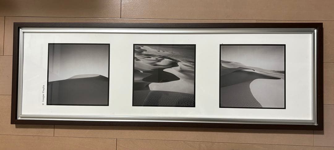 藤田一咲　『アース』　アートデコ　芸術写真　美術 藤田一咲「Cat・Cat」インタビュー｜UnoFOTO 京都写真美術館