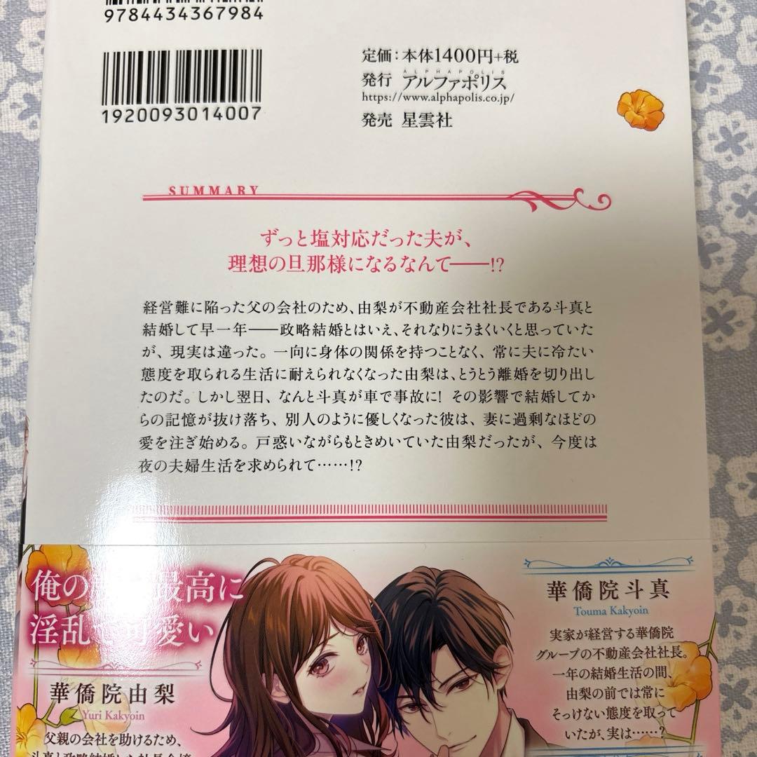 専用】エタニティブックス・ルネッタブックス・ヴァニラ文庫 11月新刊