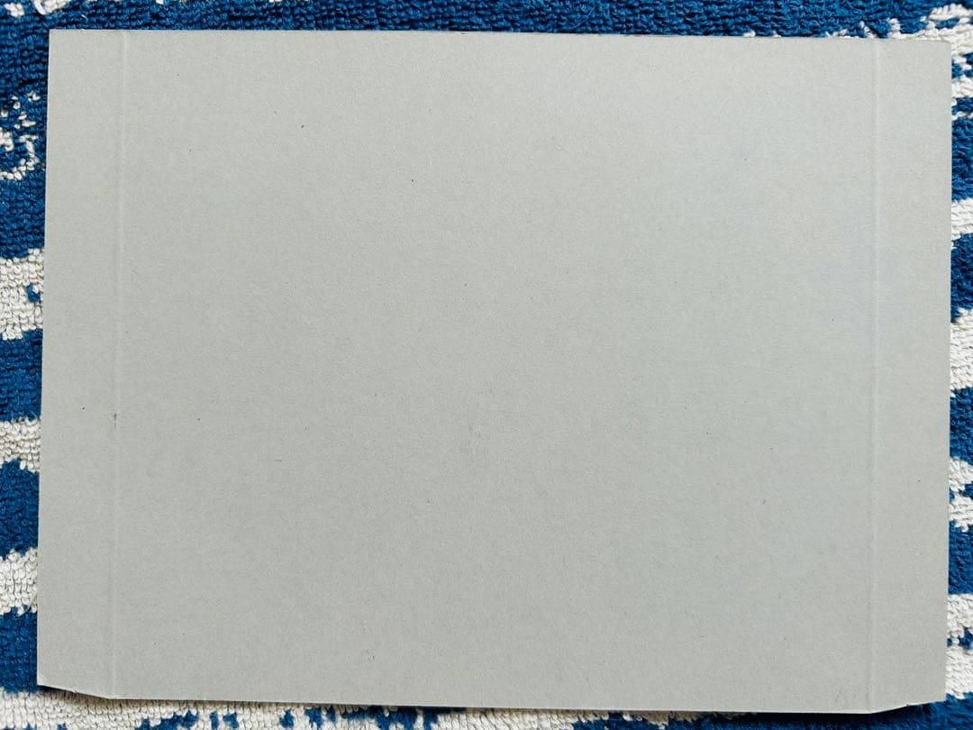 ドラゴンボールスーパーカードゲーム ファイリングシート カードダス台紙 非売品