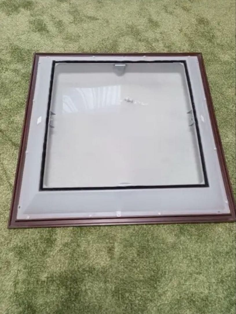 Panasonic、ムシベール、6〜10畳用、高拡散アクリルカバー