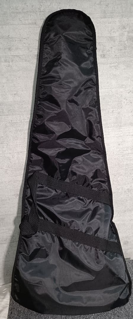 とっとこ走るハム太郎様専用！ARIAプロⅡ、LEGENDギター美品！ケース