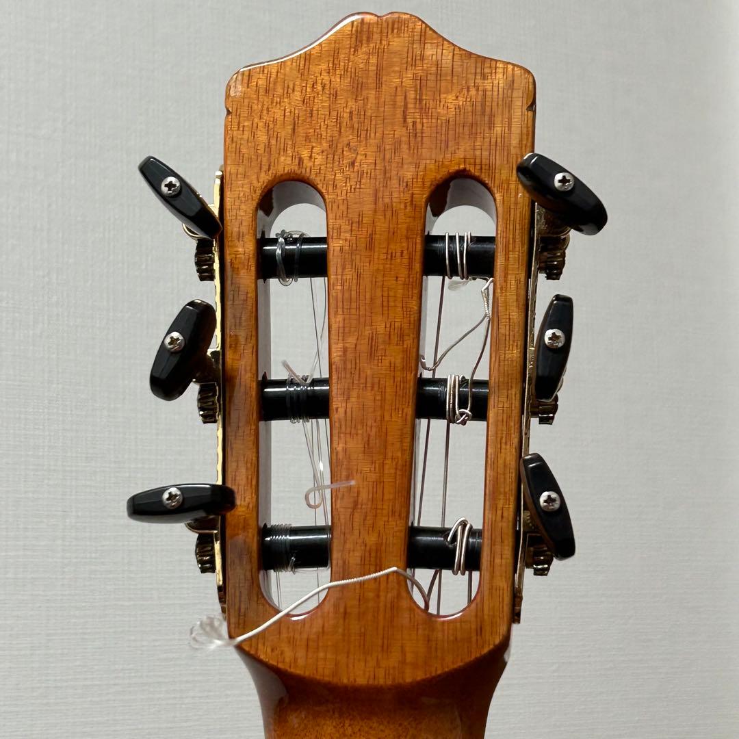 Cordoba GK Studio エレガット+ハードケース