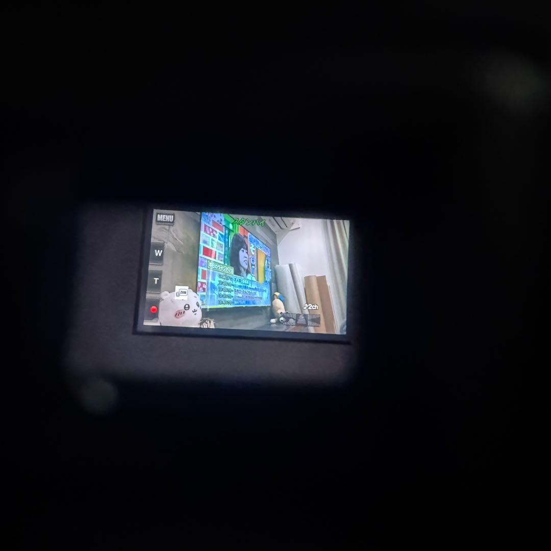 SONY デジタル4Kビデオカメラレコーダー FDR-AXP35 ハンディカム