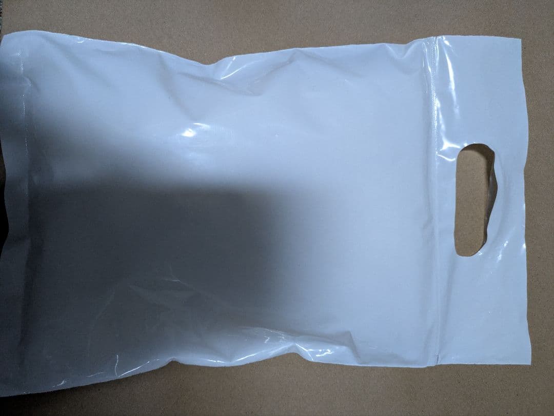 「勝利の女神:NIKKE」ネロ　ガレージキット　ケルベロスプロジェクト